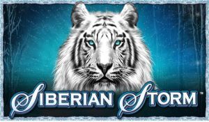 Siberian-Storm-300x175 (1)